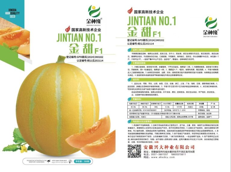 Jintian No