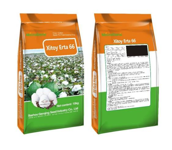 Xitoy Erta 66